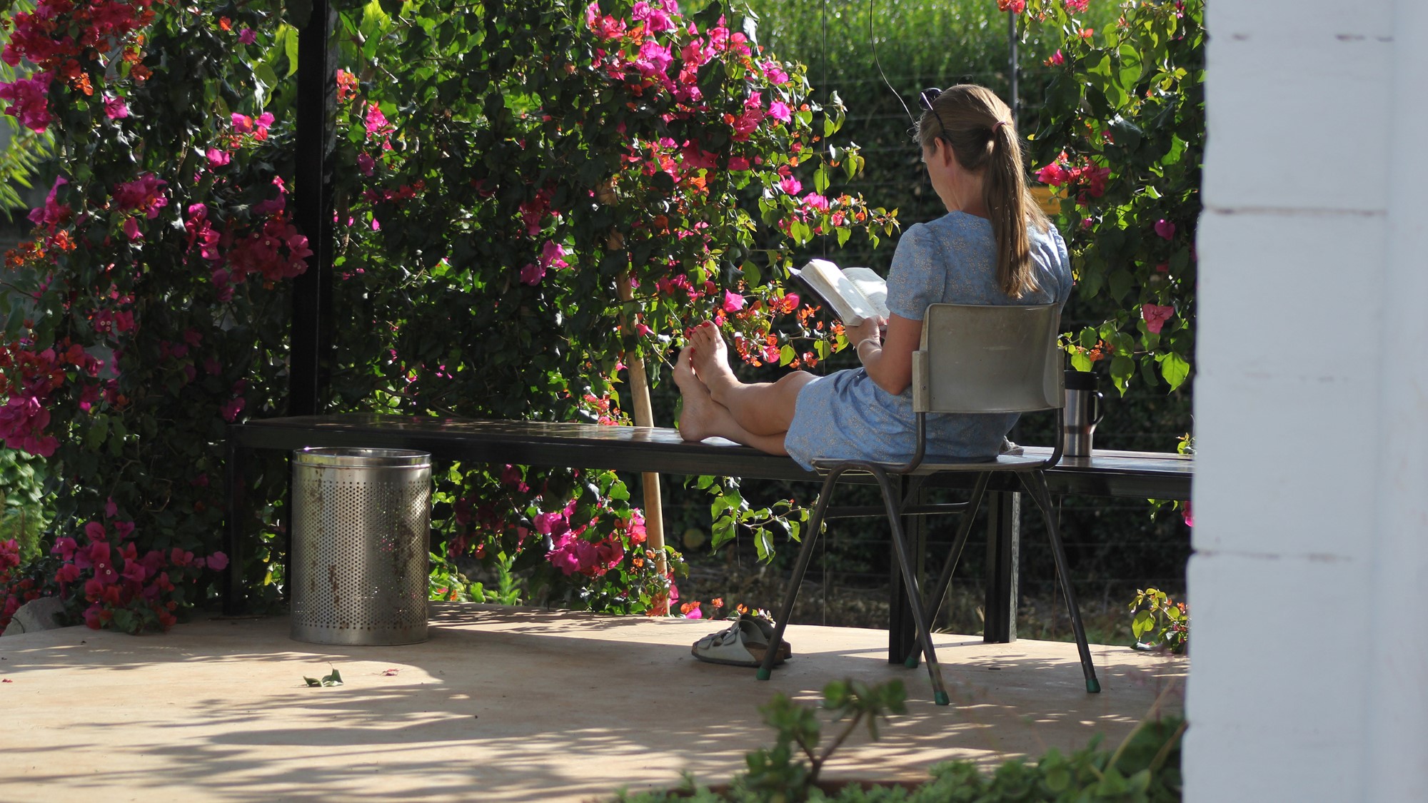 Kvinne sitter i stol og leser i Bibelen i blomstrende hage