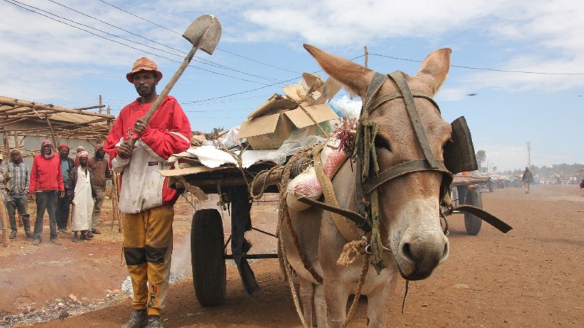 Salia Hassan og et esel
