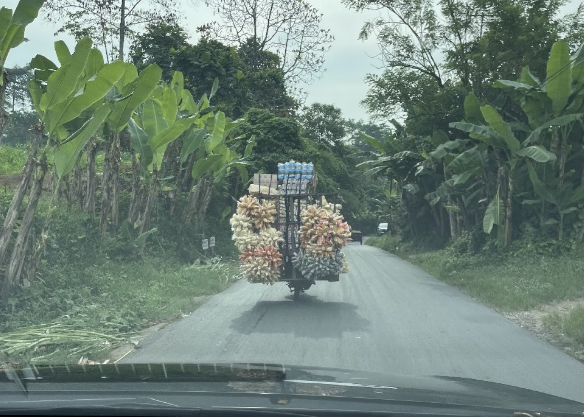 Full moped