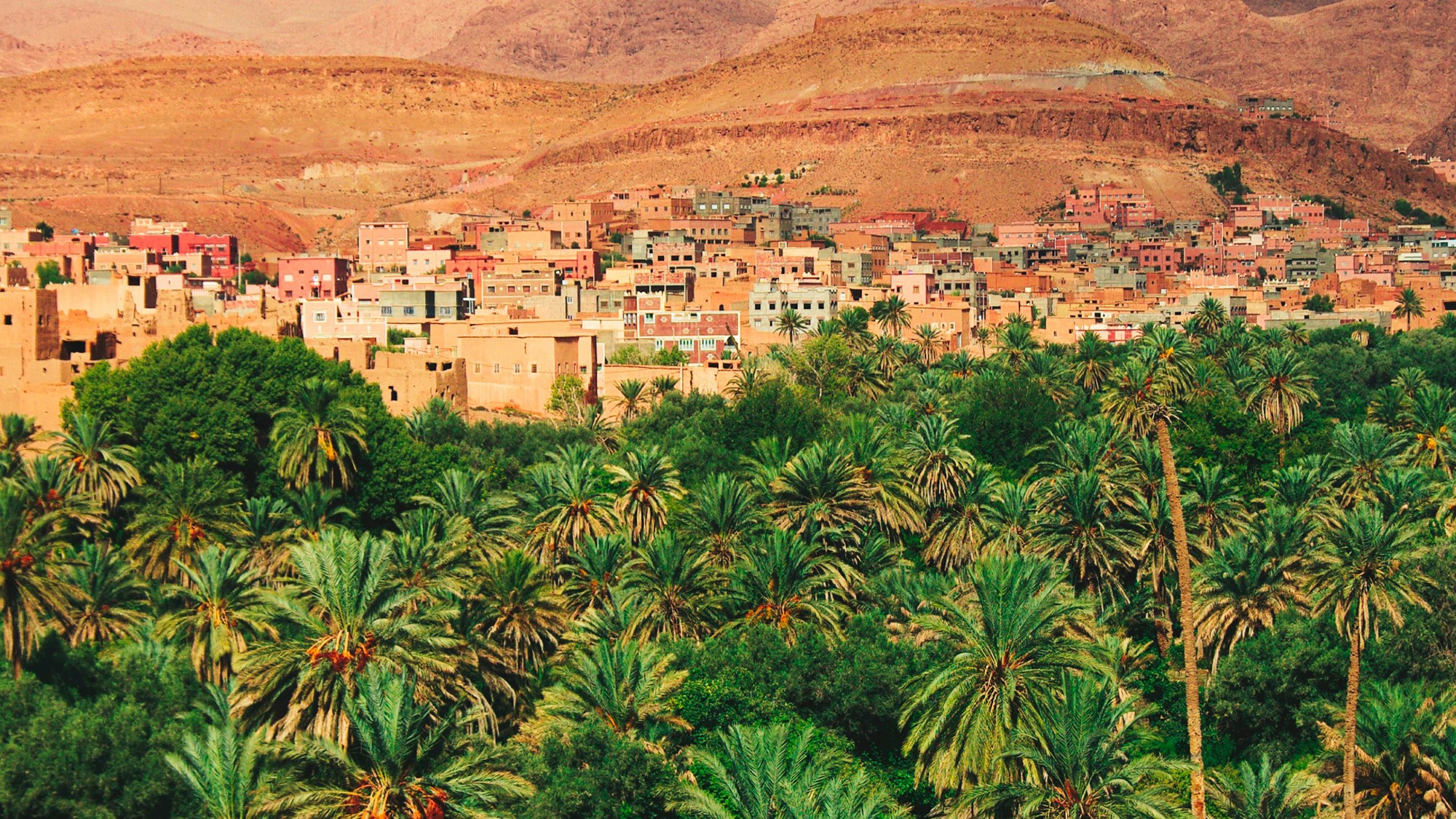 Steinby bak palmer i tørt landskap med oase